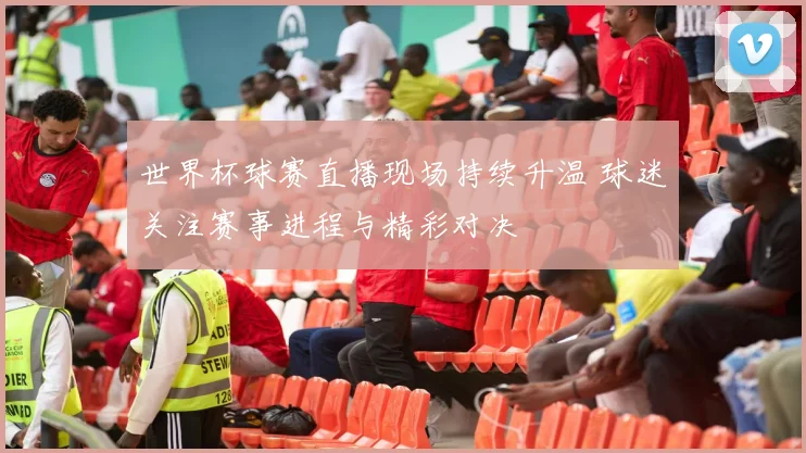 世界杯球赛直播现场持续升温 球迷关注赛事进程与精彩对决