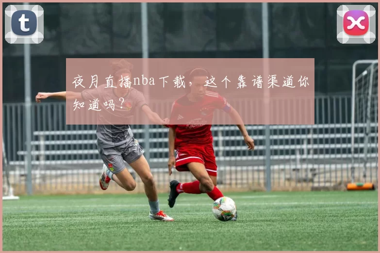 夜月直播nba下载,这个靠谱渠道你知道吗?