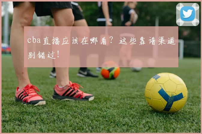 cba直播应该在哪看？这些靠谱渠道别错过！